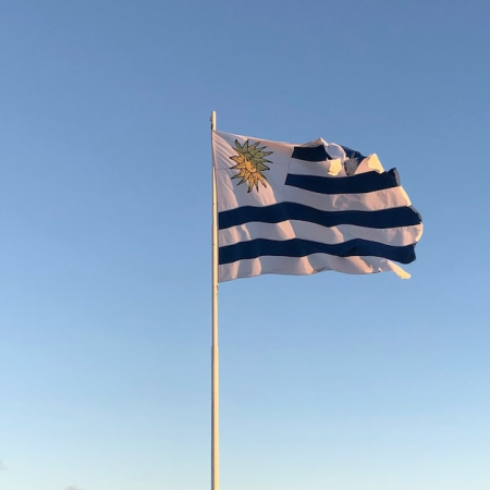 Uruguayan Authorities Issue High-Priority Warning Against Illegal Sites Ahead of World Cup