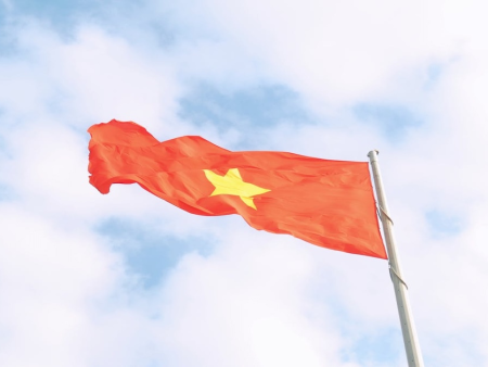 Vietnam Navigates Cautious Gaming Expansion as Local Demand Remains Subdued