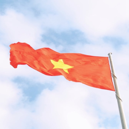 Vietnam Navigates Cautious Gaming Expansion as Local Demand Remains Subdued
