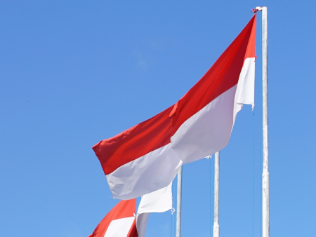 Indonesia National Police Prepare for Surge in Illegal Online Gambling During World Cup