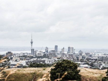 New Zealand Establishes Strict Online Casino Framework to Channel Offshore Demand
