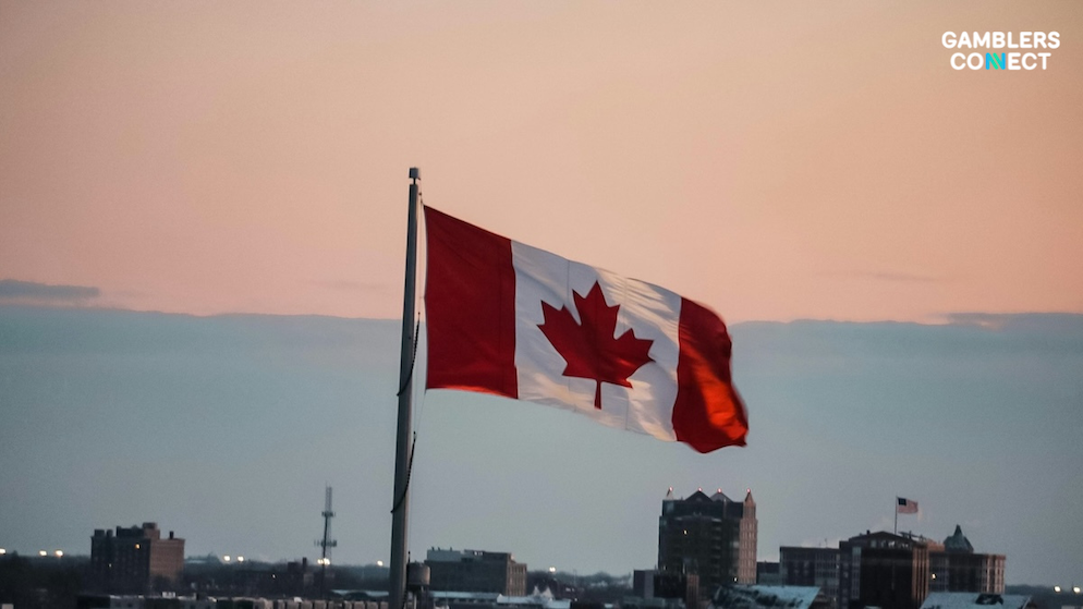 The red and white Canadian maple leaf flag waving smoothly in the evening breeze against a soft sunset sky backdrop layout.