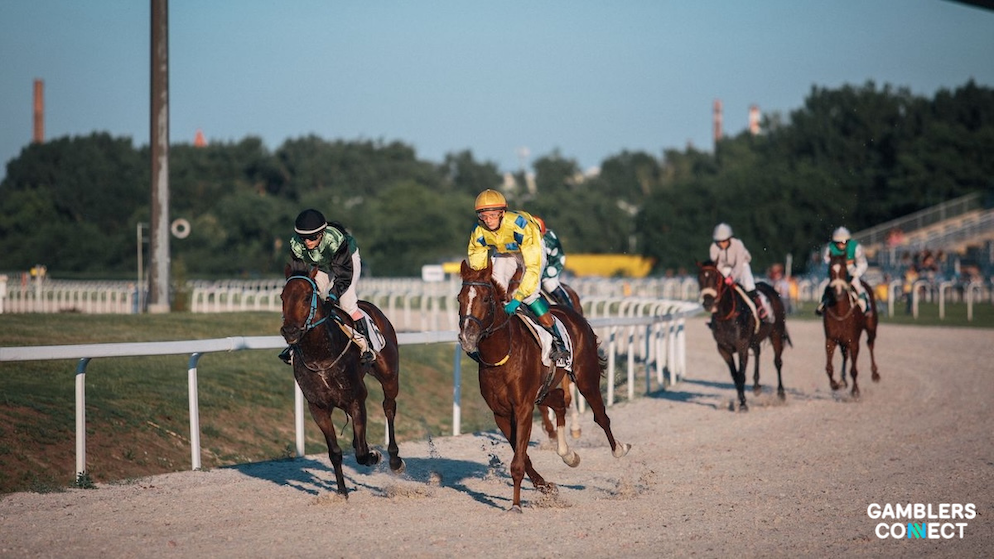 Four racehorses with riders sprinting past a white rail boundary during a competitive racing event.