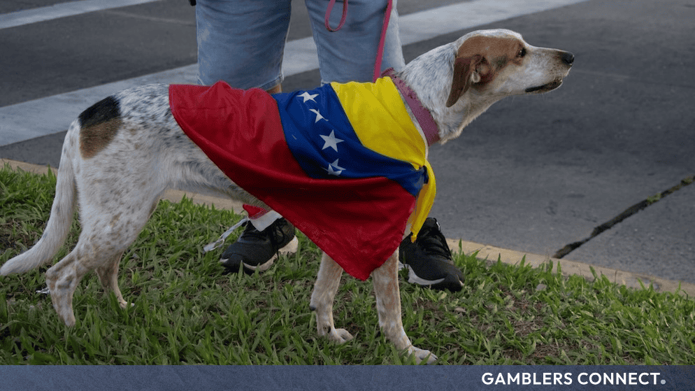 Amusnet Launches Humanitarian Initiative via "Caramelo Sortudo" to Support Venezuela Earthquake Relief 1 A dog wrapped in the Venezuelan flag standing beside its owner on the street, symbolizing animal welfare relief efforts.