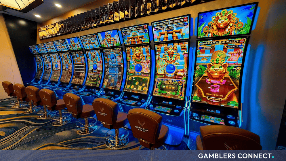 Zitro Makes Official Debut in Northern Cyprus with Chamada Girne Hotel & Casino Installation 1 A line of Zitro FANTASY slot cabinets with colorful lion graphics and gold trim, installed at Chamada Girne Hotel & Casino.