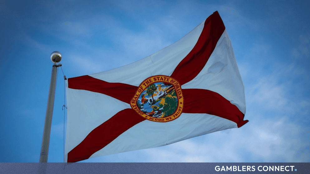 The official state flag of Florida fluttering against a clear blue sky, representing state regulatory enforcement actions.